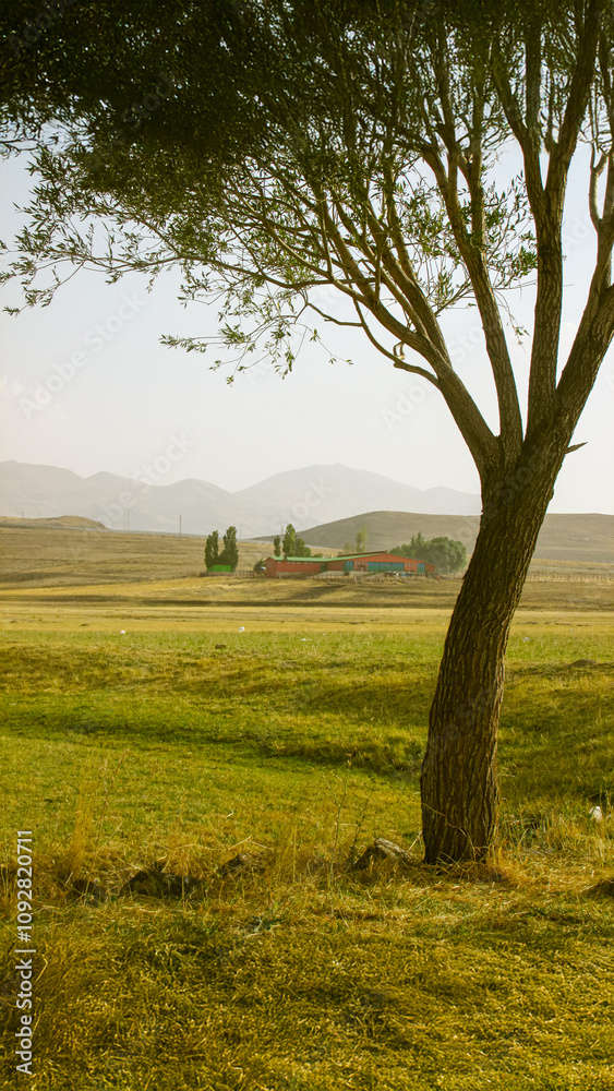 Autumn in Anatolia with a lone tree, vast plains, and distant hills Autumn in Anatolia with a lone tree, vast plains, and distant hills