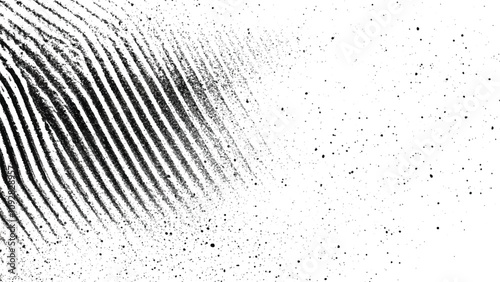 black and white Fingerprint texture set background.