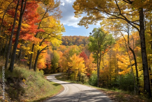 autumn in the forest, Autumn road yellow fall season orange color trees