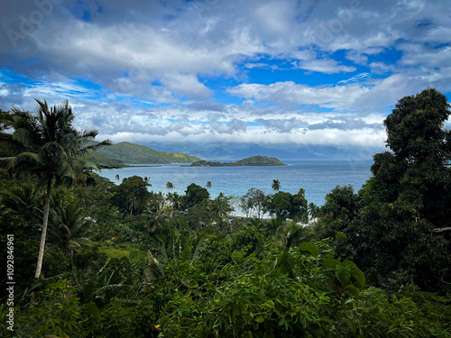 Rain forest, Taveuni Island, Fiji