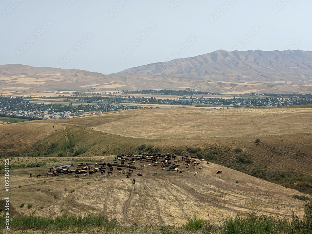 Fototapeta premium View of landcape with mountains and hills. Sheep, horses, cows graze in the field. Vivid natural scenery photo.