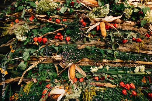 phyto tapestry of herbs and flowers photo