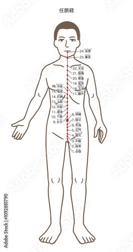 鍼灸の経穴、任脈、ツボのイラスト