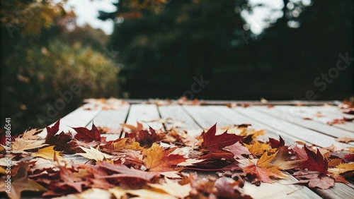 autumn, leaves, leaf, fall, nature, park, season, forest, tree, yellow, red, brown, orange, grass, green, color, foliage, food, maple, fallen, road, trees, beautiful, dry, natural