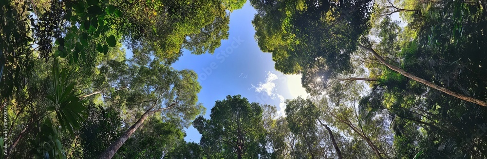Panoramic View of Forest Canopy with Sky Perspective. AI generated illustration Panoramic View of Forest Canopy with Sky Perspective. AI generated illustration