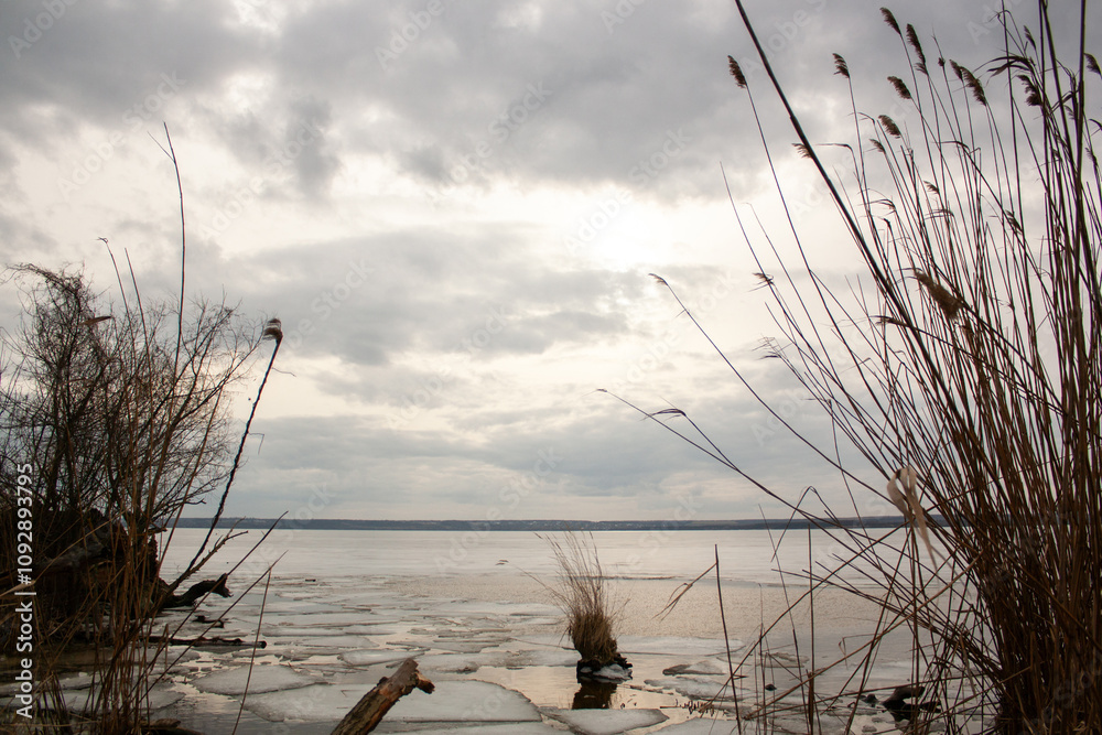 Fototapeta premium landscape with river