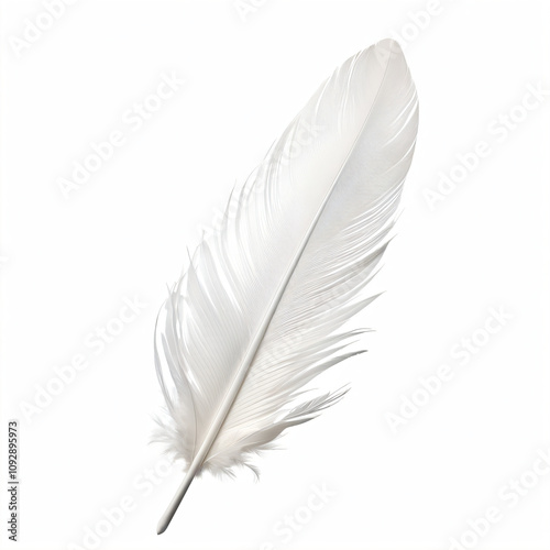 White feather on white background