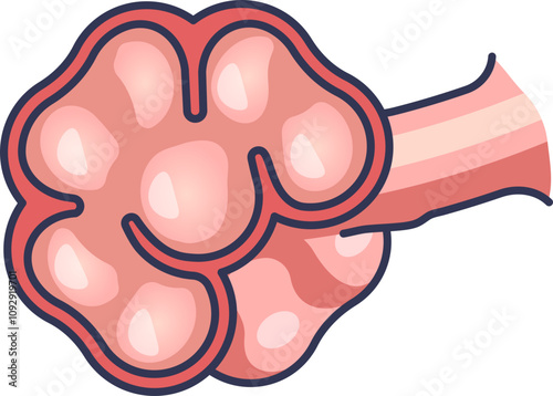 Illustration of alveoli, highlighting respiratory health issues.