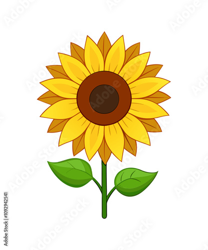 sunflower vector illustration