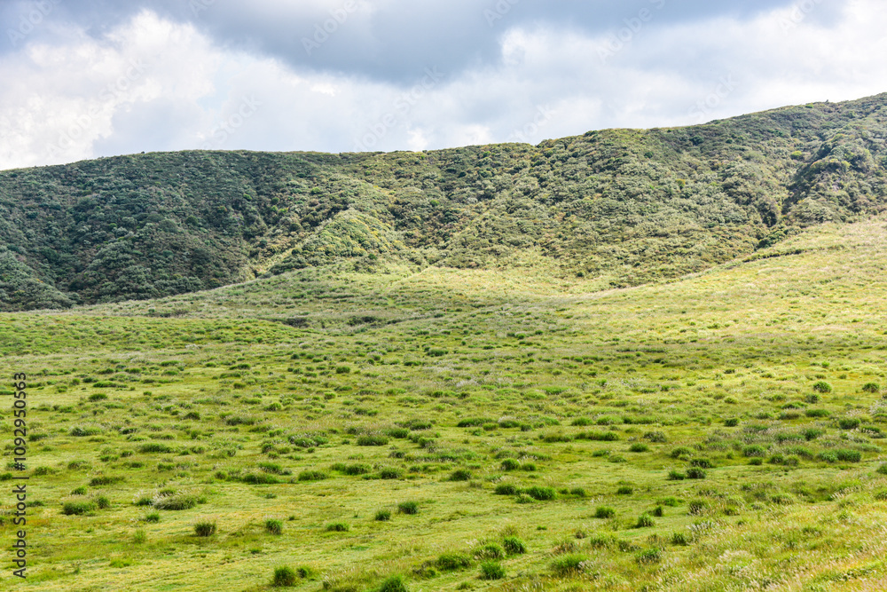 Kusasenri is a vast grassy plain in Kumamoto Kyushu Japan Kusasenri is a vast grassy plain in Kumamoto Kyushu Japan