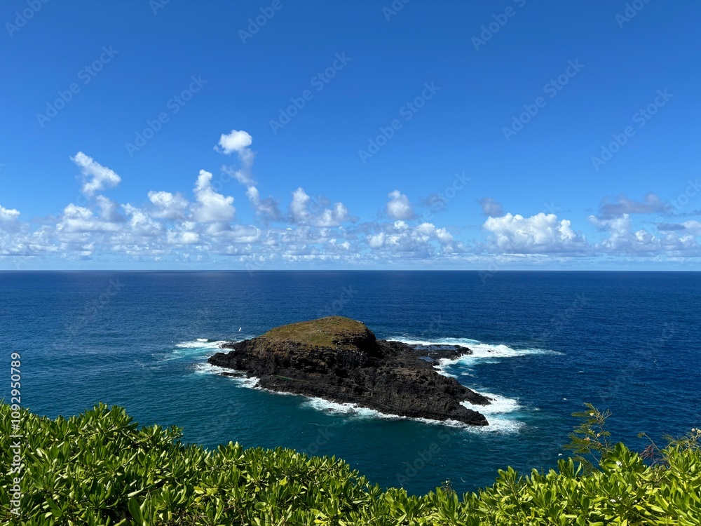 Fototapeta premium coast of the sea