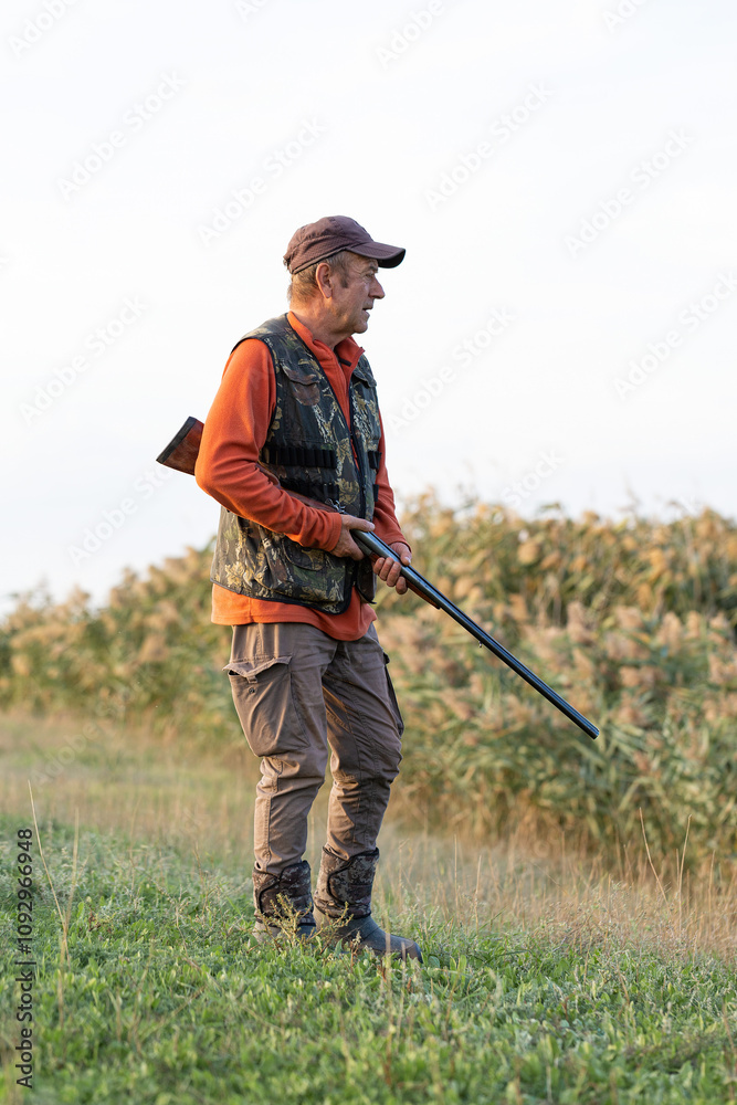 Mature hunter man holding a shotgun and walking through a field Mature hunter man holding a shotgun and walking through a field