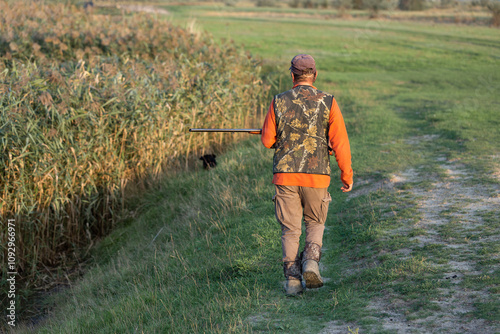 Mature hunter man holding a shotgun and walking through a field photo