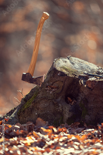 the axe and the log