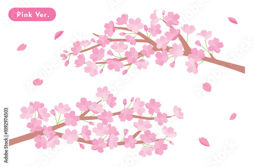 春の桜のイラスト　背景素材　さくら　花　かわいい　満開　新生活　お祝い　シンプル　花びら　満開　4月