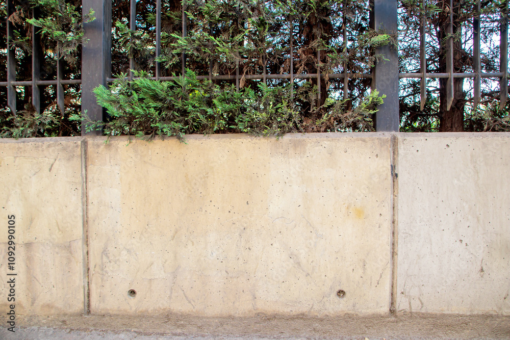 concrete garden wall and metal fence with tree green leaves concrete garden wall and metal fence with tree green leaves