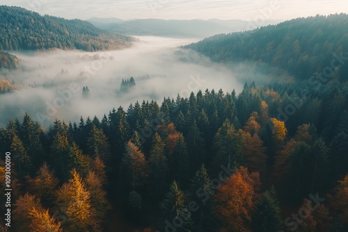 Beautiful Autumn Landscape with Mountains in the Black Forest, Germany. AI generated illustration