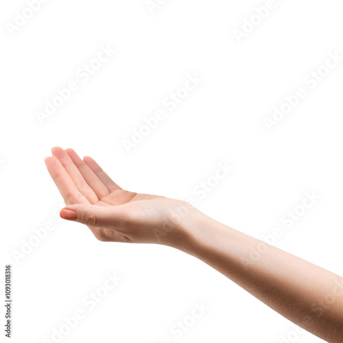 Hands open and asking for help, isolated transparent background image