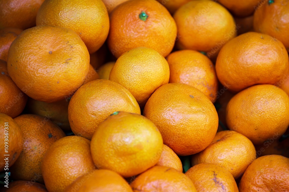 Juicy and Plump Oranges are on sale Juicy and Plump Oranges are on sale