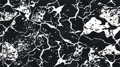 Abstract black and white pattern, cracked texture, organic shapes, high contrast, marble-like, geological formations, lightning-inspired, veined surface