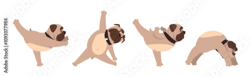 Pug Dog Stand in Yoga Pose and Asana Vector Set