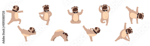 Pug Dog Stand in Yoga Pose and Asana Vector Set