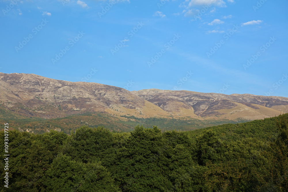 Naklejka premium Galicica National Park in North Macedonia