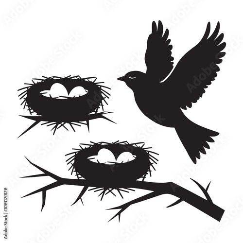 silhouette of a bird