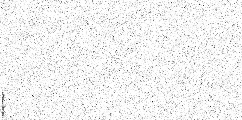White Sand Wall Texture Background.white terrazzo flooring texture background. realistic raster pattern of mosaic floor with natural stones, granite, marble, quartz, concrete. polished rock.
White Sand Wall Texture Background.white terrazzo flooring texture background. realistic raster pattern of mosaic floor with natural stones, granite, marble, quartz, concrete. polished rock.