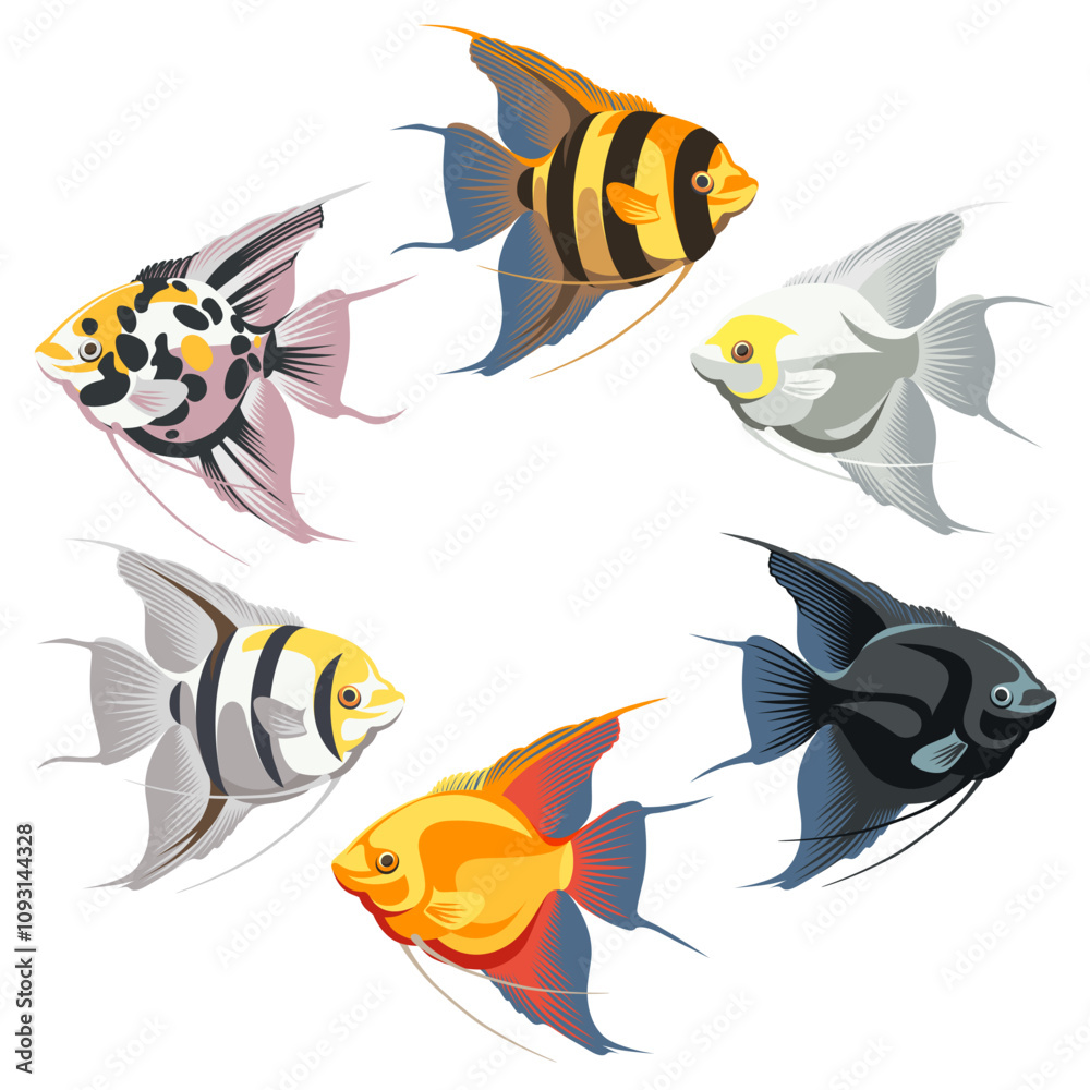 A set of colorful fish - Angelfish, isolated on a white background. The illustration - adult fish.
A set of colorful fish - Angelfish, isolated on a white background. The illustration - adult fish.