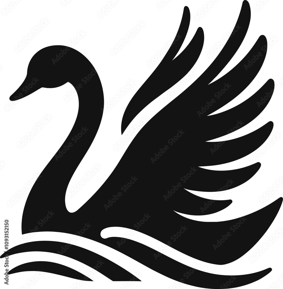 Obraz premium black and white swan