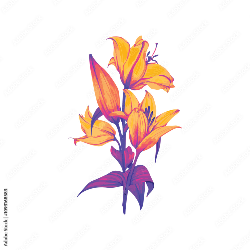 Lily Flower Drawn Design Simple Flower Lily Flower Drawn Design Simple Flower
