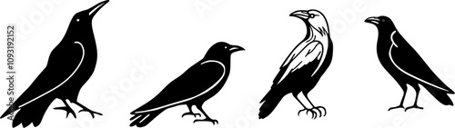 set of various silhouettes of crow illustrations
