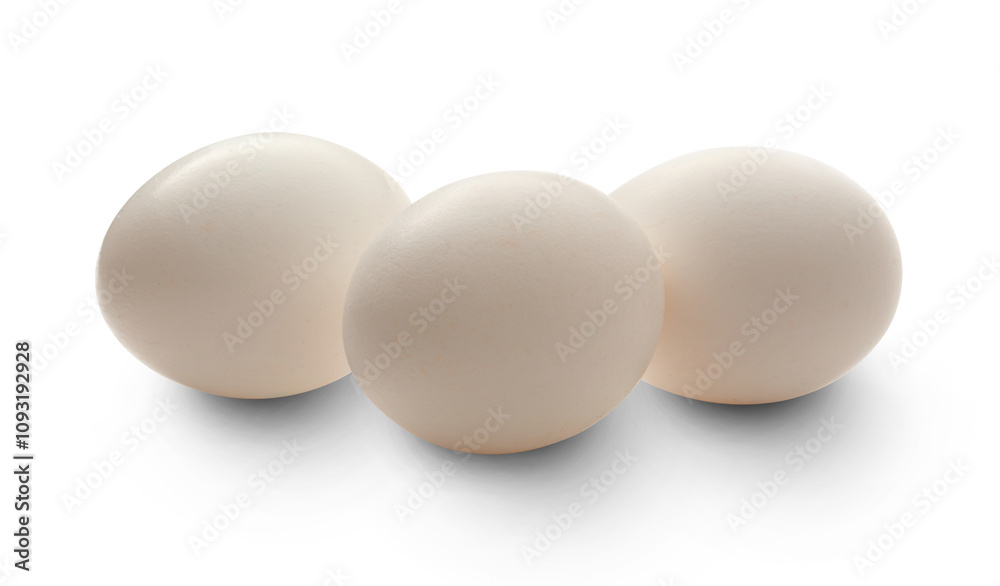 Eggs on the white background Eggs on the white background