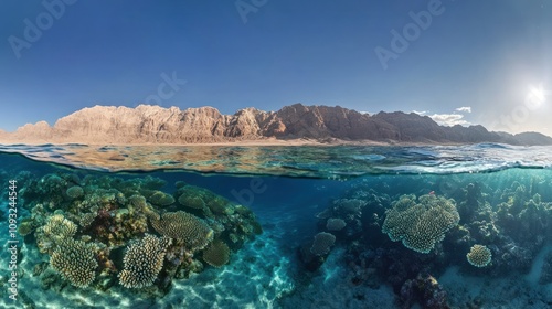 A pristine coral reef in the Red Sea, home to a diverse range of marine species and bright coral 