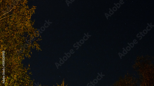 Obraz na płótnie Astrofotografie, Sternenhimmel Aufnahme aus dem Krüger National Park w salonie