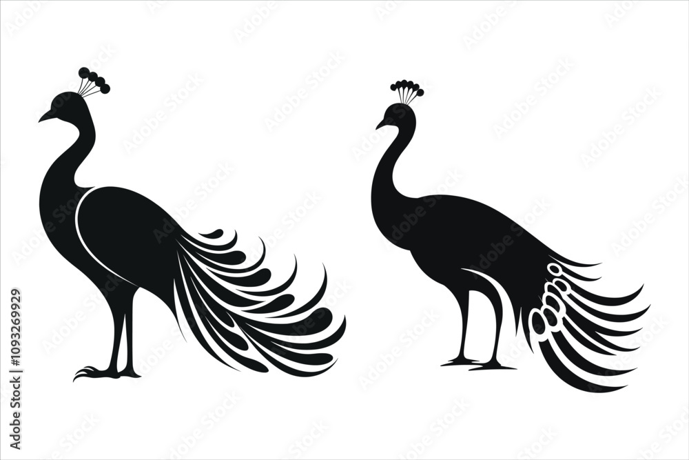 Fototapeta premium Peacock Silhouette Bundle Set, Animal Peacock Silhouette