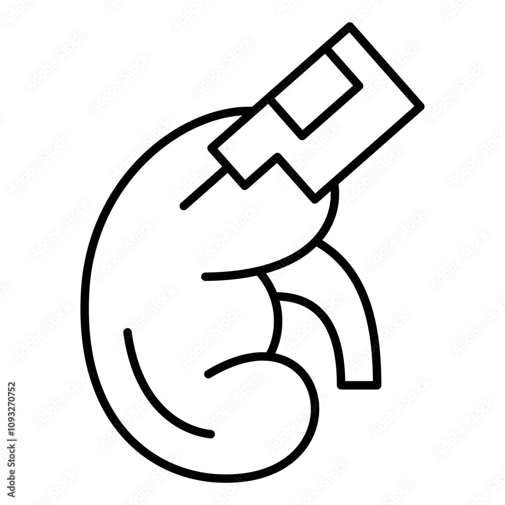 Kidney Disaese icon Kidney Disaese icon