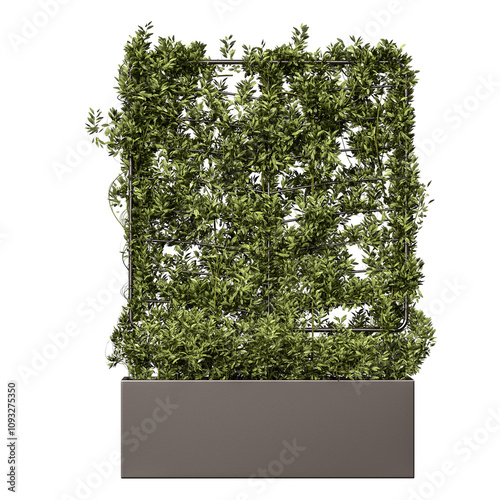A large plant is growing in a planter