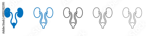 Urology icon vector set collection for web