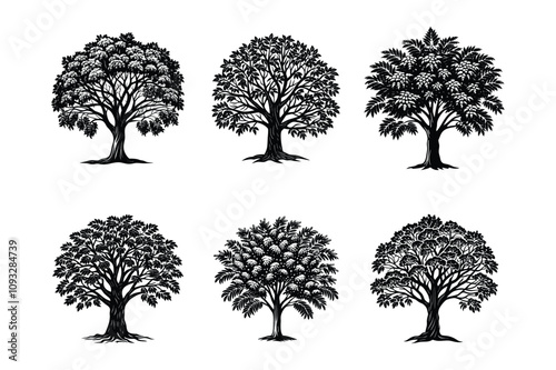 set of trees silhouettes