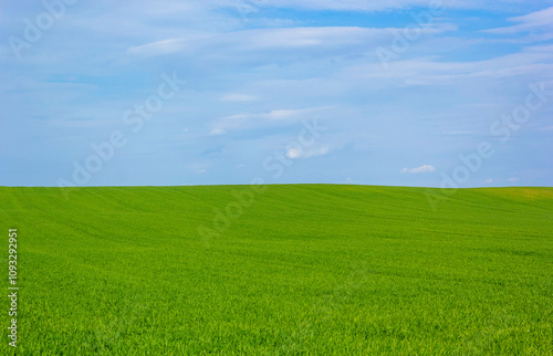 Beautiful green field and blue sky