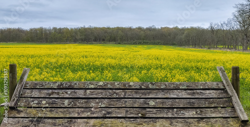 wooden fence in the field