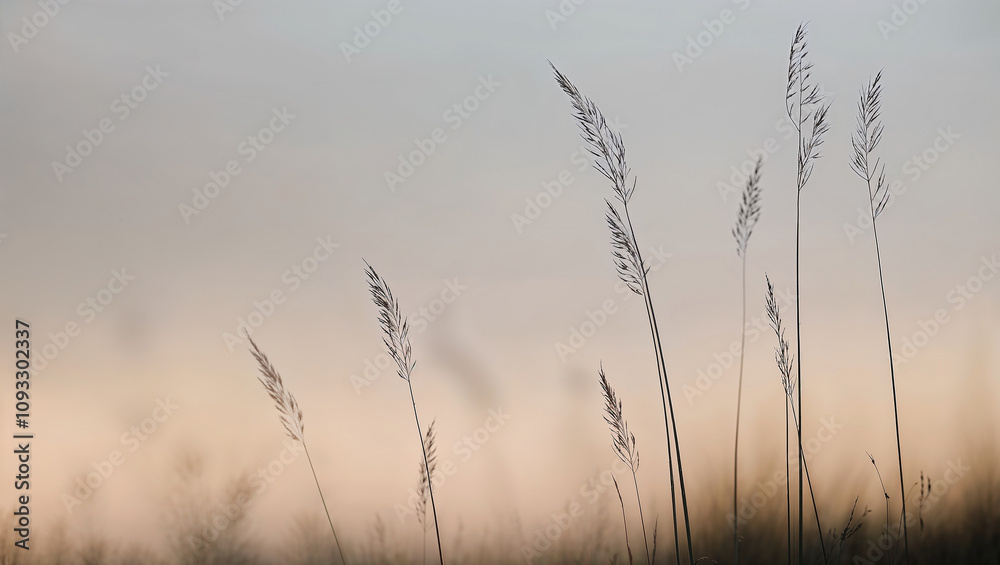 Slender grass stalks standing tall under the soft pastel sky glow.