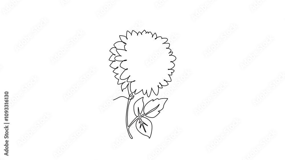 Animated self drawing of continuous line draw beauty fresh dahlia for home wall decor poster art. Printable decorative national Mexico flower wedding invitation card. Full length single line animation