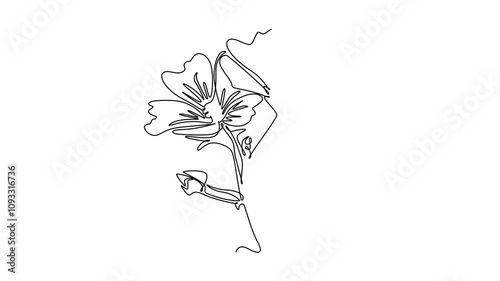 Animated self drawing of continuous line draw of beauty fresh purple mallow for home decor wall art poster. Decorative malvasylvestris flower concept for greeting card. Full length one line animation photo