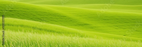 A stunning shot of a meadow's rolling hills covered in soft healthy grass on a vibrant green background, natural light, outdoors, scenery