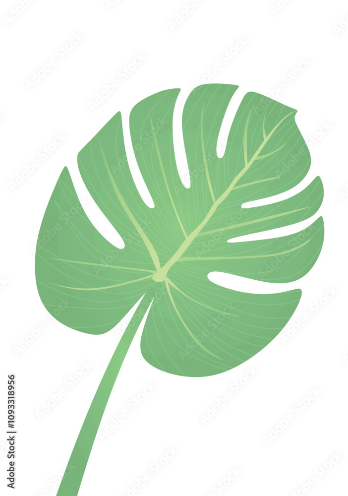 Green tropical leaf. vector illustration Green tropical leaf. vector illustration