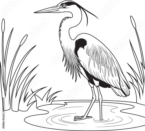 A Great Blue Heron Standing of a small pond silhouette style vector illustration 