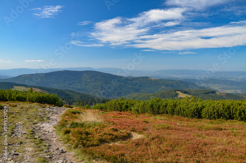 Fototapeta Naklejka Na Ścianę i Meble -  Multi-coloured panorama in the Beskid Mountains on the way to Barania Góra